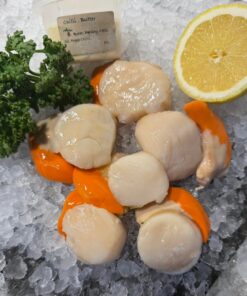 Scallops