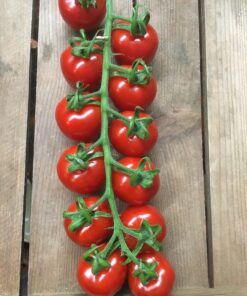 Tomatoes - Cherry Vine 300g