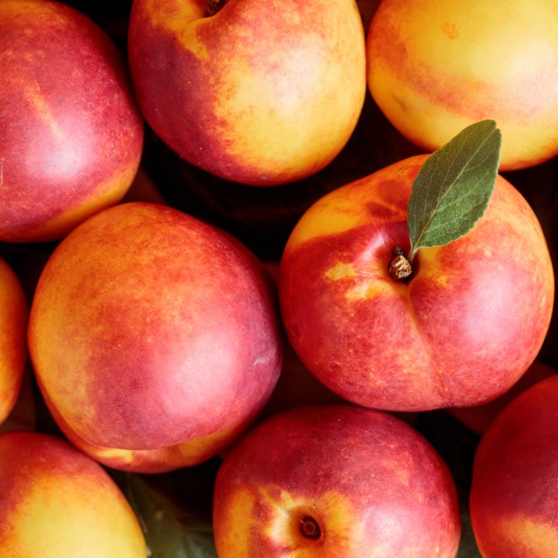 Nectarines