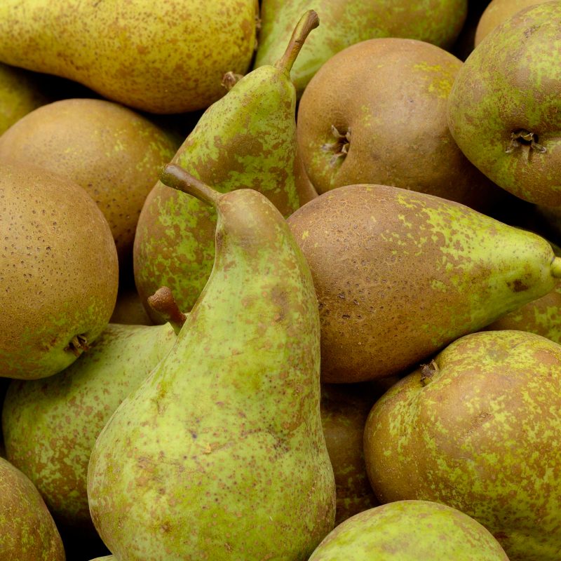 Pears – Conference