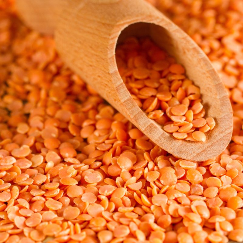 Lentils – Red