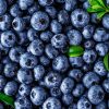 Berries – Blueberries