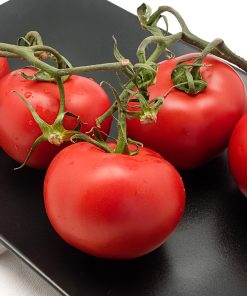 Tomatoes – Large Vine