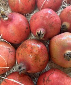 Pomegranate