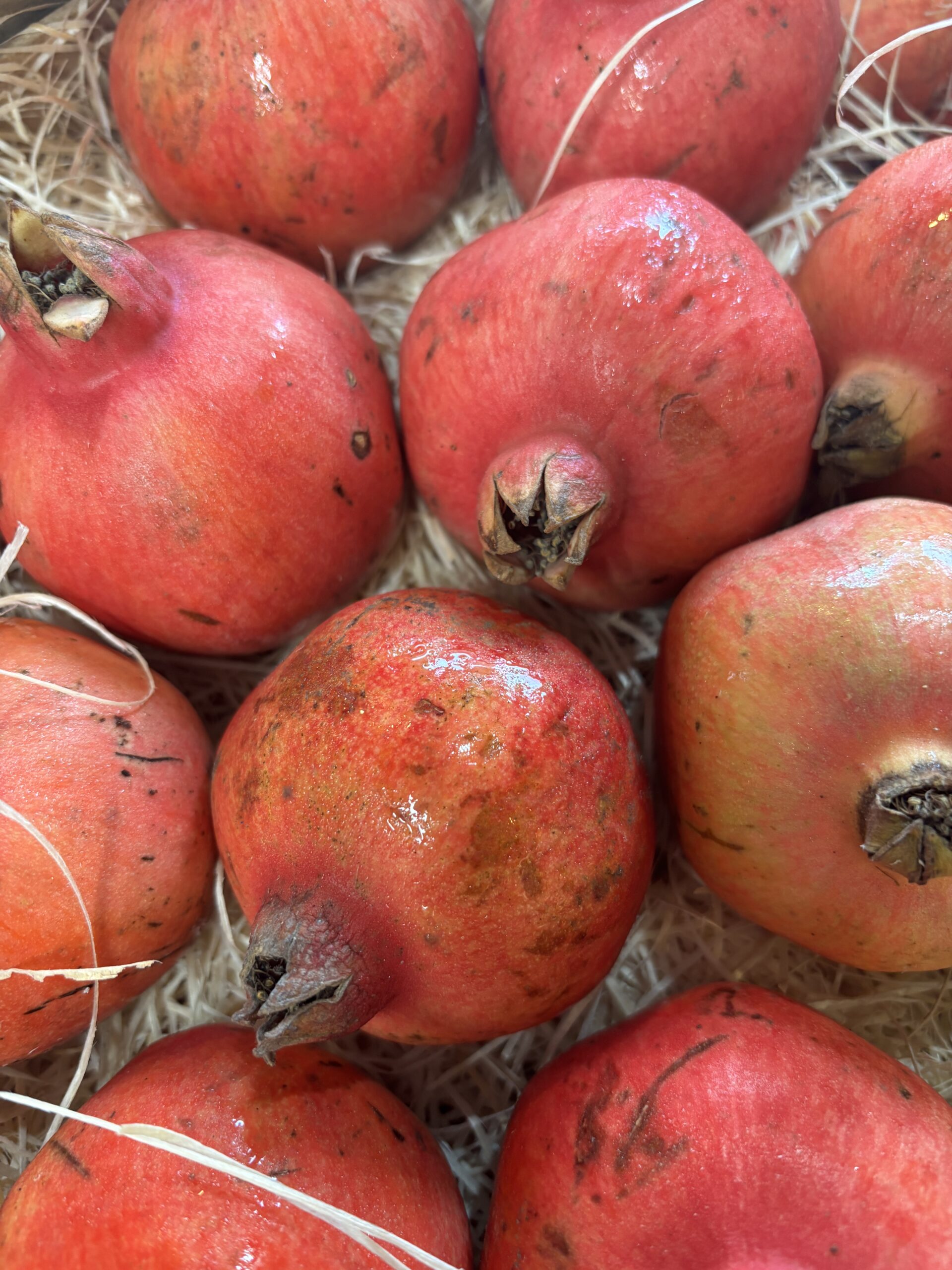 Pomegranate