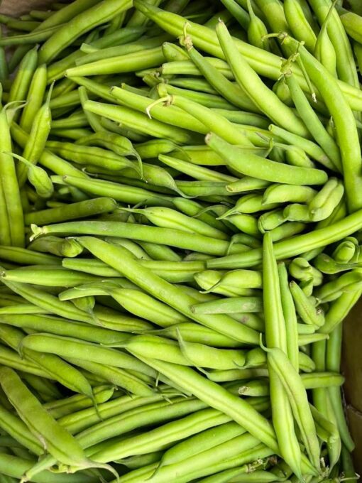 Beans - Fine Loose