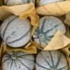 cantaloupe