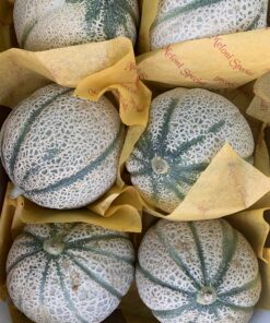 cantaloupe