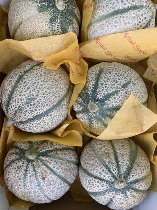 cantaloupe