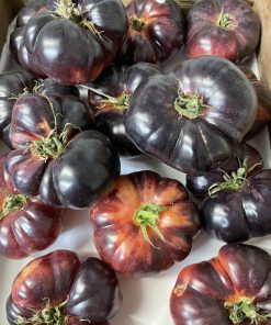 Tomatoes Raf