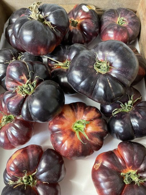 Tomatoes Raf