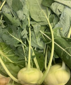 Kohl Rabi