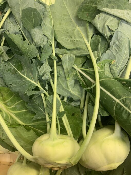 Kohl Rabi