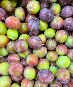 Plums - Marjorie