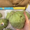 Custard Apple