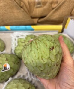 Custard Apple