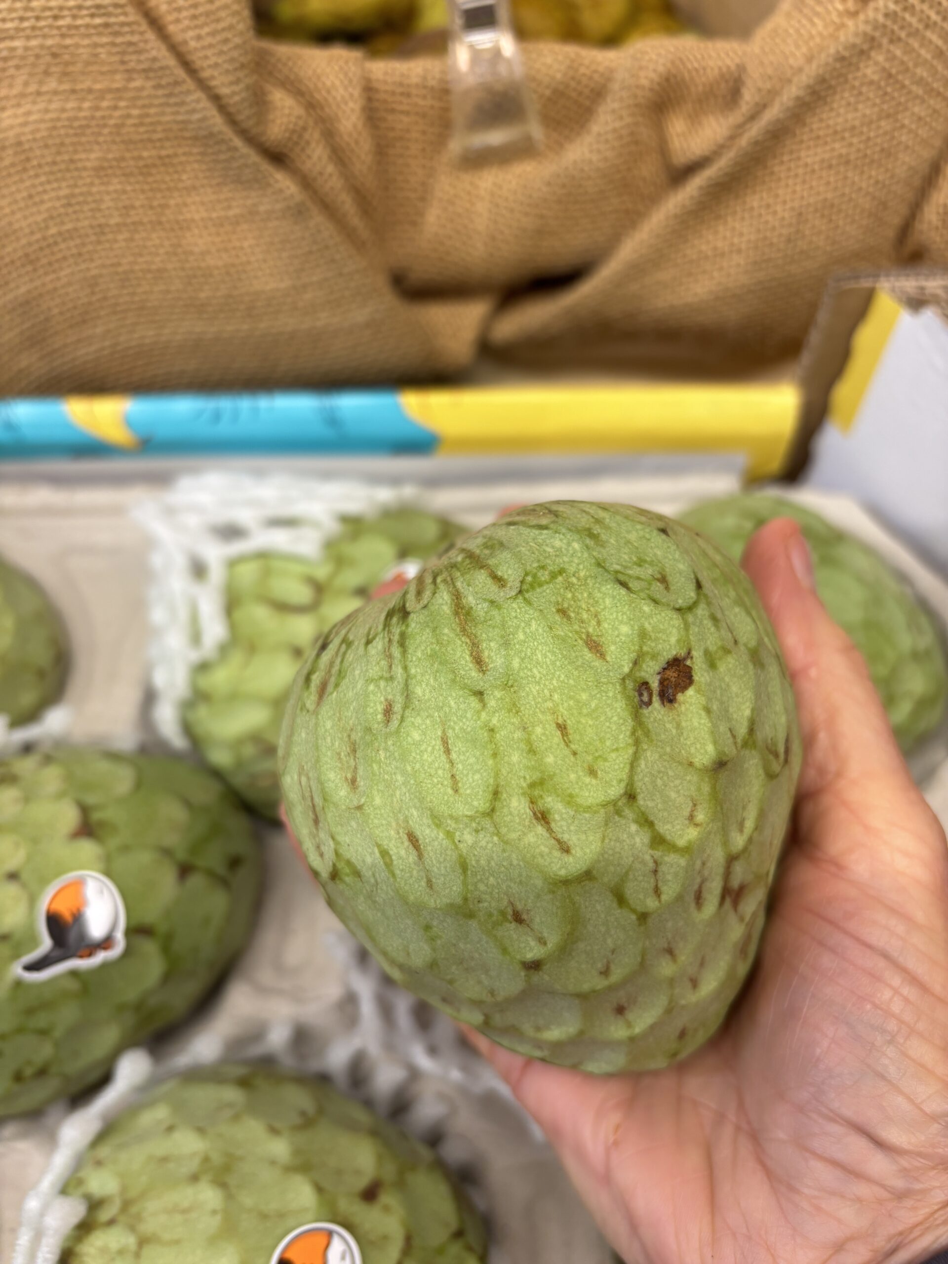 Custard Apple