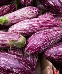 Aubergine - Grafitti