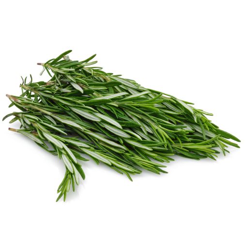 Herb – Rosemary