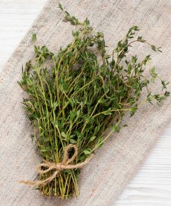 Herb – Thyme