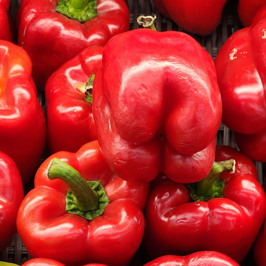 Peppers – Red