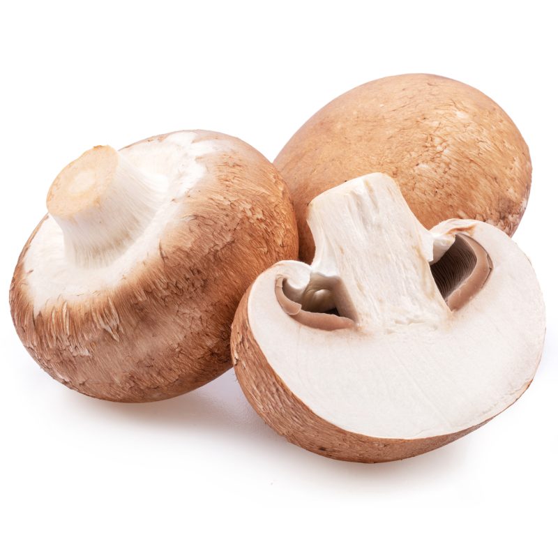 Mushrooms – Chestnut