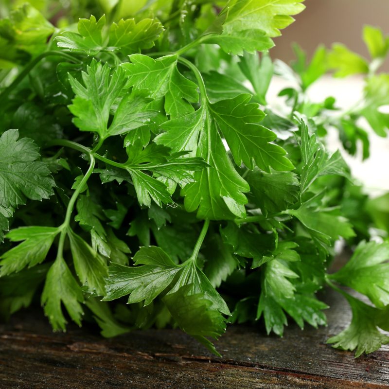 Herbs – Parsley Flat