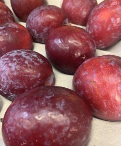 Plums - Fortune Treat