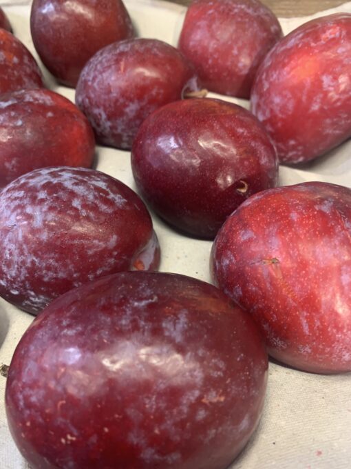 Plums - Fortune Treat