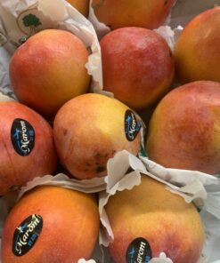 Mango - Shelley