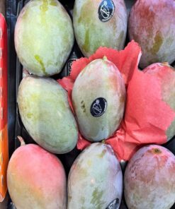 Mango - Osteen