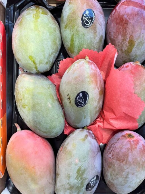 Mango - Osteen