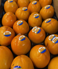 Persimmon - Spanish Kaki