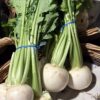 Turnips Bunch