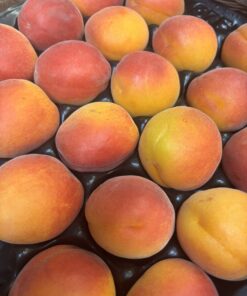 Apricots