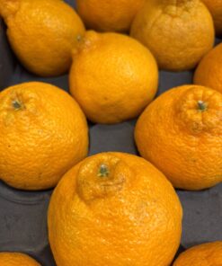 Minneola