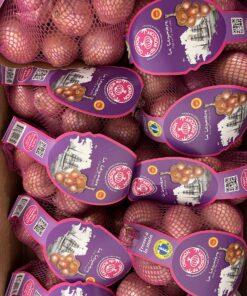 Onions - Roscoff