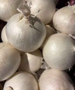 Onions - White