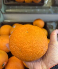 Oranges - Salustiana