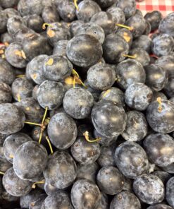 Plums - Damsons