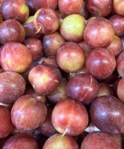 Plums - Cherry Plums