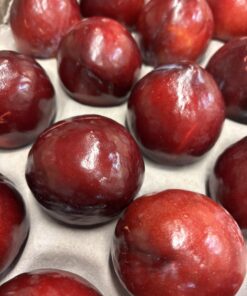 Plums - Flavour Fall