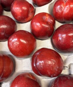 Plums - Ruby Sun