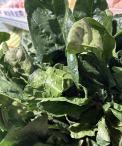 Spinach - Bunched