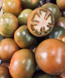 Tomatoes  Winter - Black