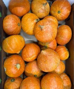 Squash - Red Kuri