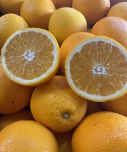 Oranges  - Midknight Valencia